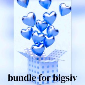 Bundle for bigsiv17